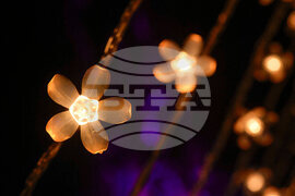 Holiday Lights Chicago