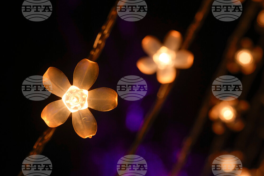 Holiday Lights Chicago