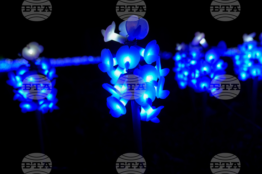 Holiday Lights Chicago