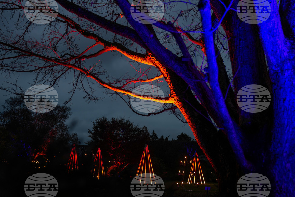 Holiday Lights Chicago