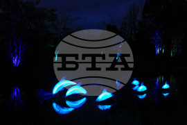 Holiday Lights Chicago