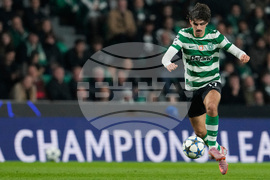 Portugal Champions League Soccer