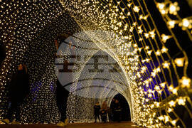 APTOPIX Holiday Lights Chicago