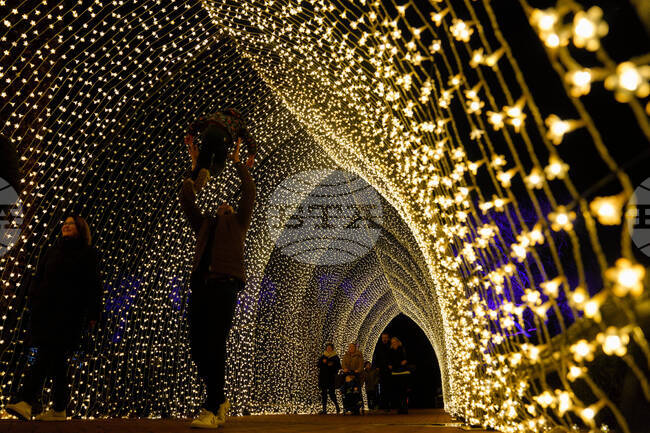 APTOPIX Holiday Lights Chicago