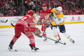 Predators Red Wings Hockey