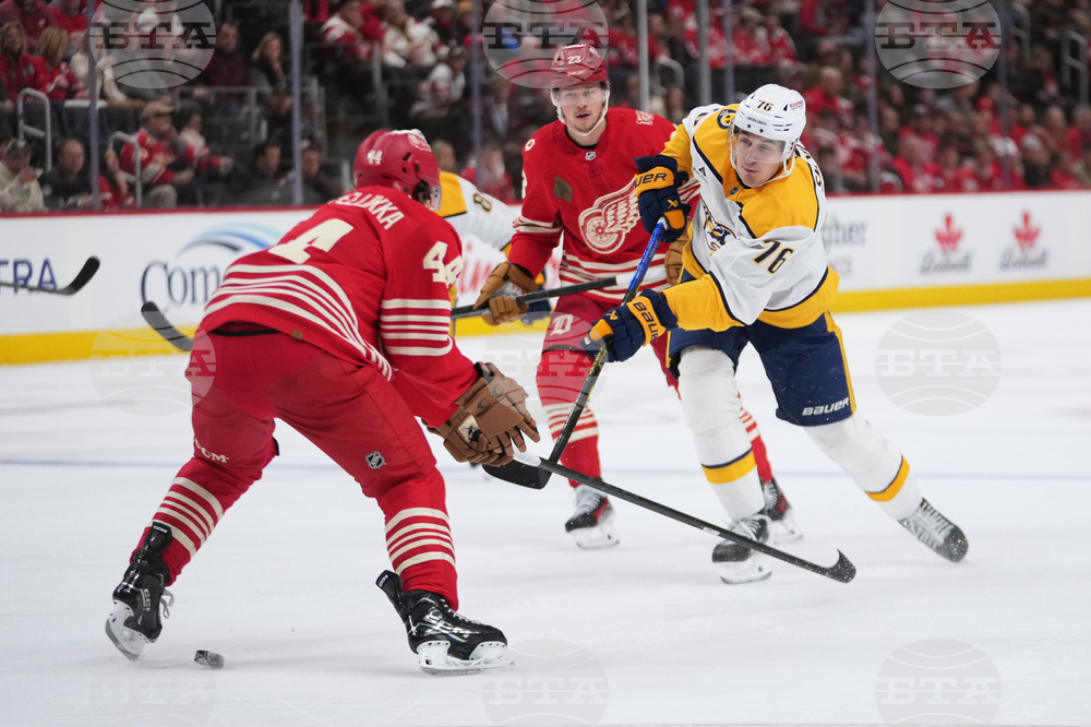 Predators Red Wings Hockey