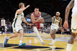 Bucks Heat Basketball