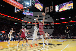 Bucks Heat Basketball