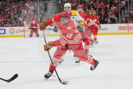 Predators Red Wings Hockey