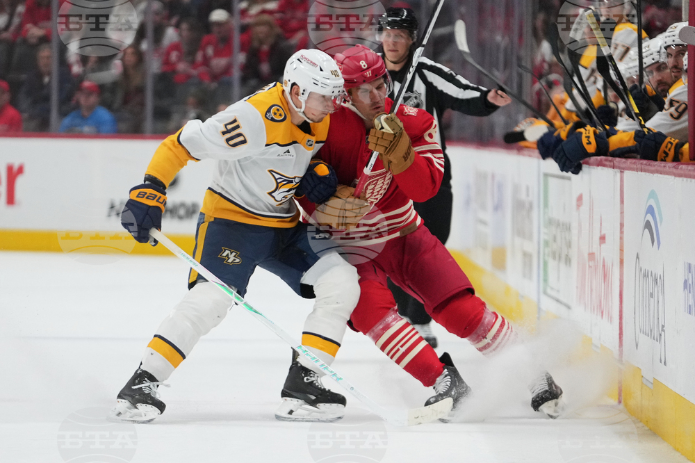 Predators Red Wings Hockey