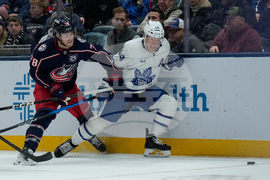 Maple Leafs Blue Jackets Hockey