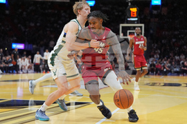 Bucks Heat Basketball