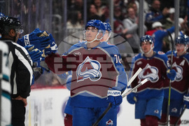 Sharks Avalanche Hockey