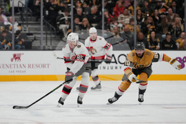 Senators Golden Knights Hockey