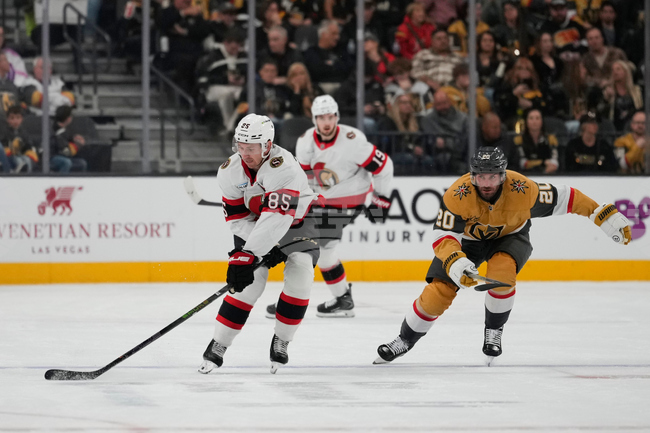 Senators Golden Knights Hockey