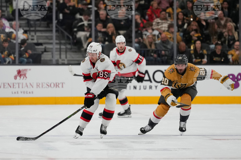 Senators Golden Knights Hockey