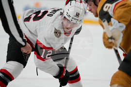 Senators Golden Knights Hockey