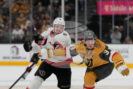 Senators Golden Knights Hockey