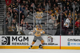 Senators Golden Knights Hockey