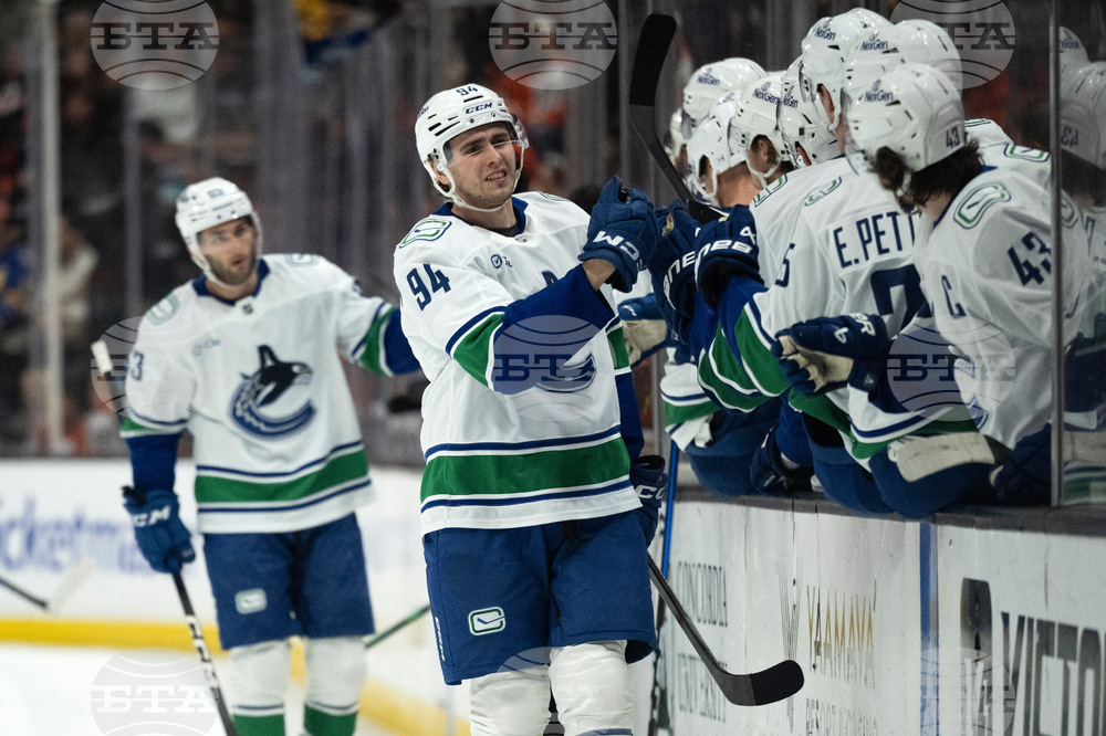 Canucks Ducks Hockey