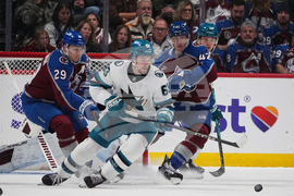 Sharks Avalanche Hockey