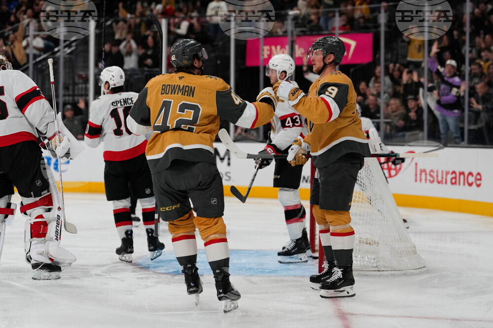 Senators Golden Knights Hockey