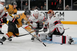 Senators Golden Knights Hockey