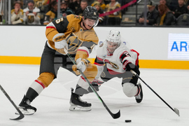 Senators Golden Knights Hockey