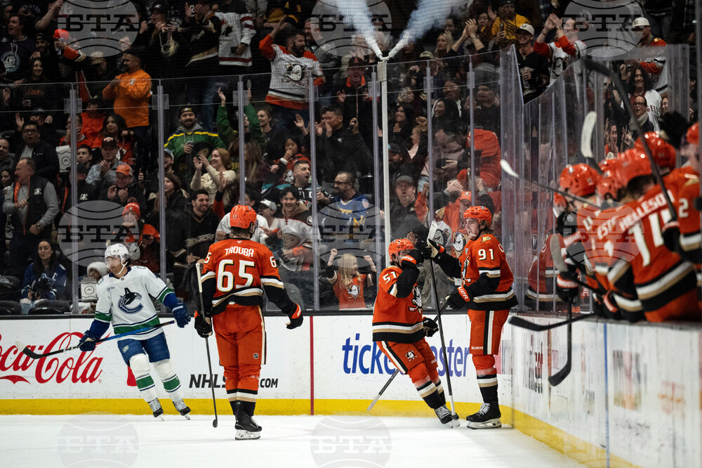 Canucks Ducks Hockey