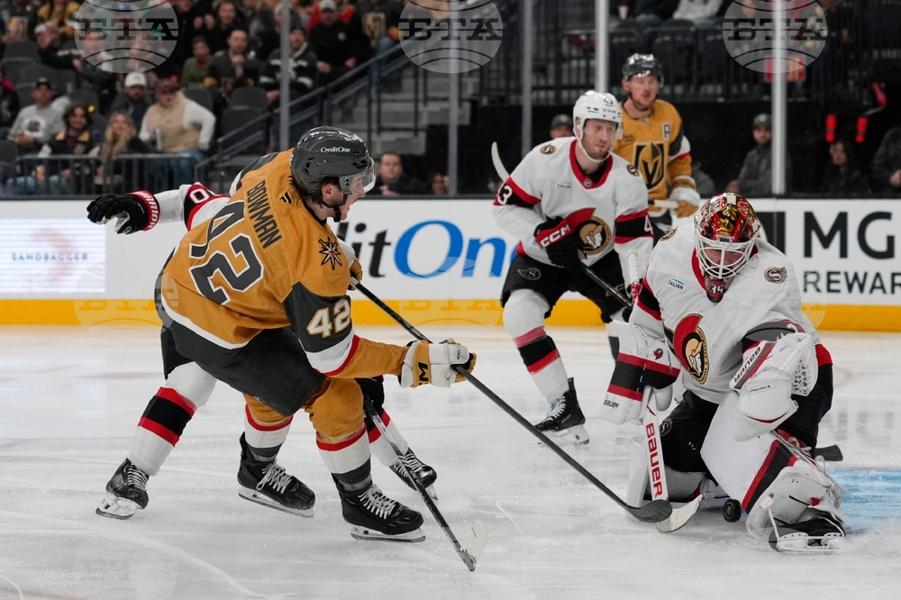 Senators Golden Knights Hockey