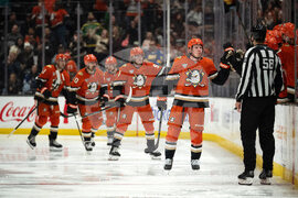 Canucks Ducks Hockey