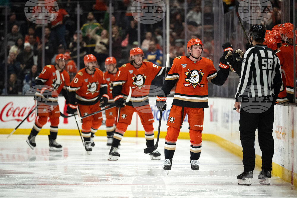 Canucks Ducks Hockey