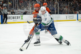 Canucks Ducks Hockey