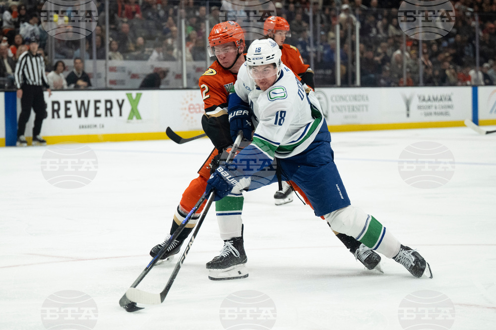 Canucks Ducks Hockey