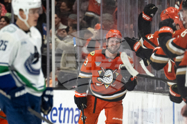 Canucks Ducks Hockey