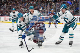 Sharks Avalanche Hockey