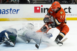 Canucks Ducks Hockey