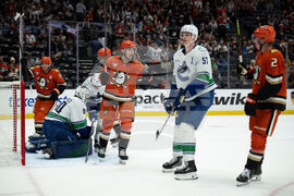 Canucks Ducks Hockey