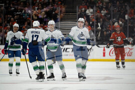 Canucks Ducks Hockey