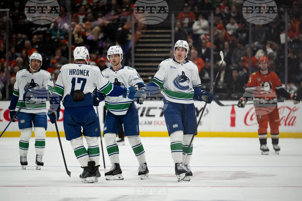 Canucks Ducks Hockey