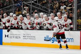 Senators Golden Knights Hockey