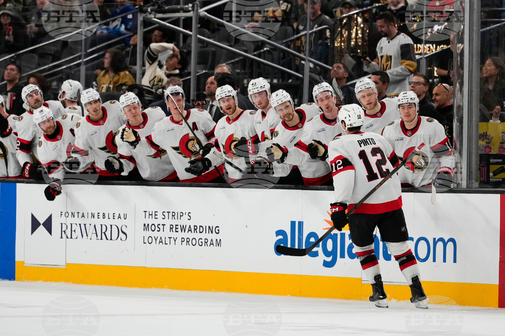 Senators Golden Knights Hockey