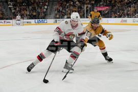 Senators Golden Knights Hockey