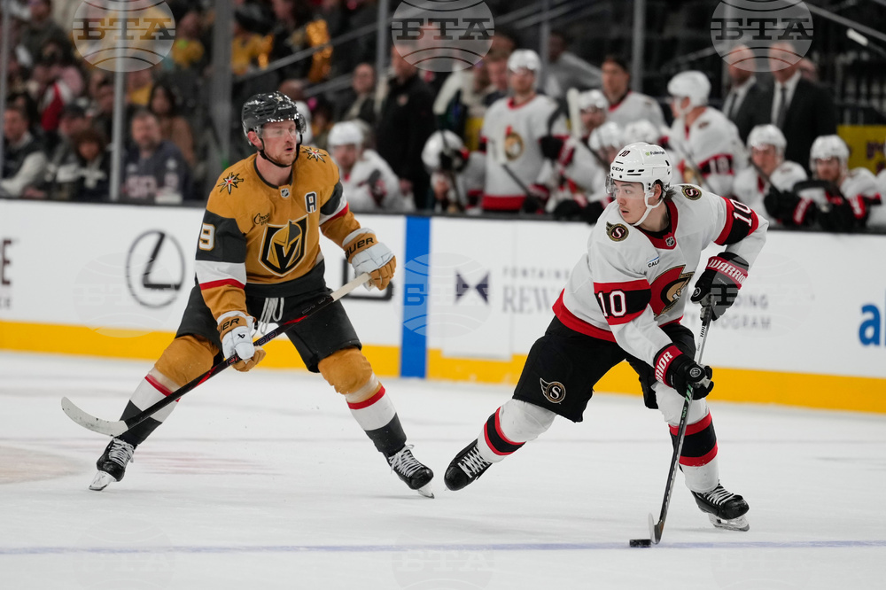 Senators Golden Knights Hockey