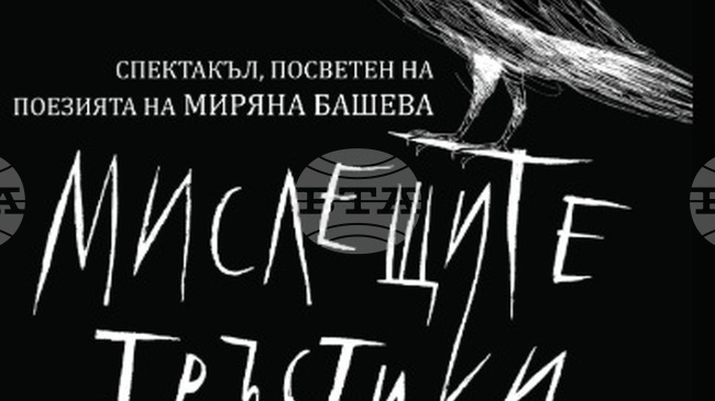 Спектакълът „Мислещите тръстики", посветен на поезията на Миряна Башева, ще гостува в Стара Загора