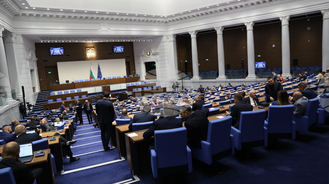 MPs Adopt First-Reading Revisions to VAT Act Introducing Special Schemes for Small Enterprises