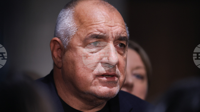 We Should Consider What People Think, GERB Leader Borissov Says 