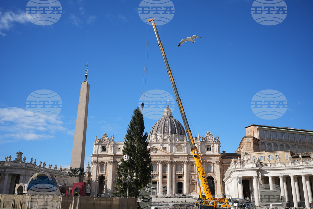 Vatican Christmas Tree