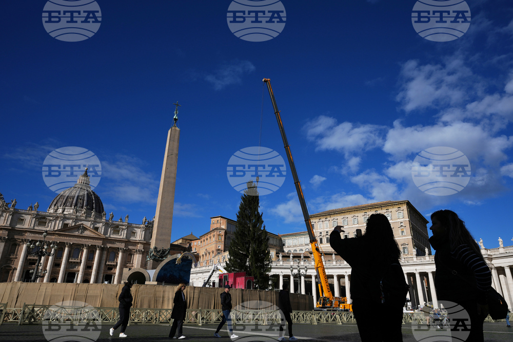 Vatican Christmas Tree