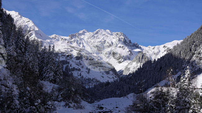 Лавини причиниха смъртта на трима скиори в Австрия